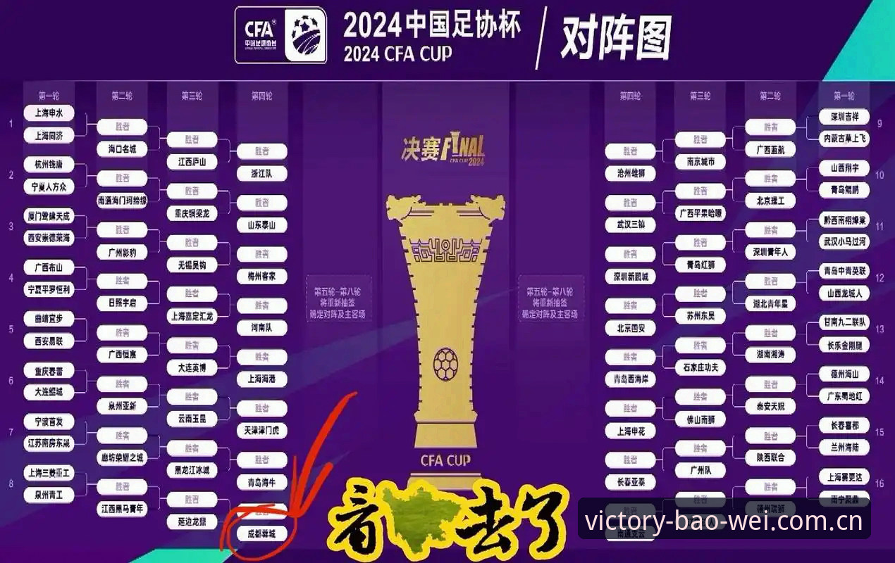 足协第三批禁足名单公布后，球迷如何在宝威体育平台跟进赛事信息？